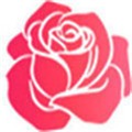 红玫瑰直播