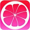 黄金网站app免费软件