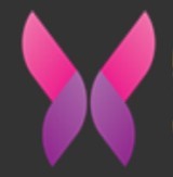 小小水蜜桃电视剧在线观看最新版